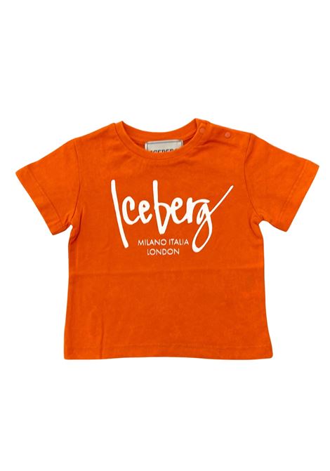  iceberg |  | TSICE6121BZU