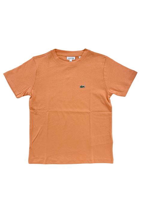 t-shirt basica con logo lacoste | T-shirt | 947025NA7