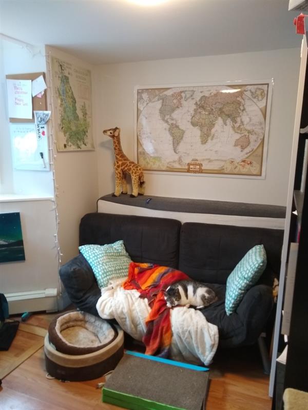 apartment picture
