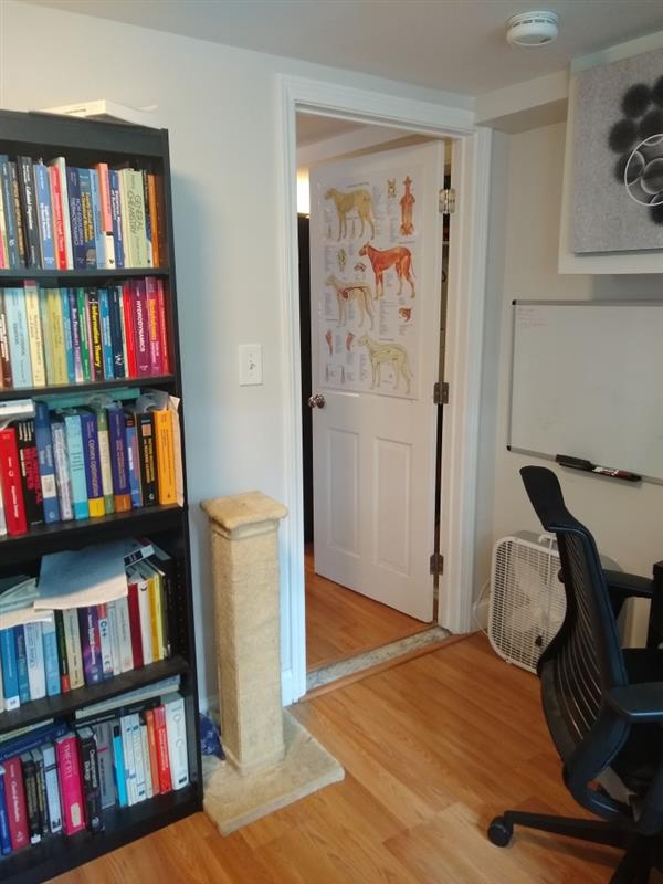 apartment picture