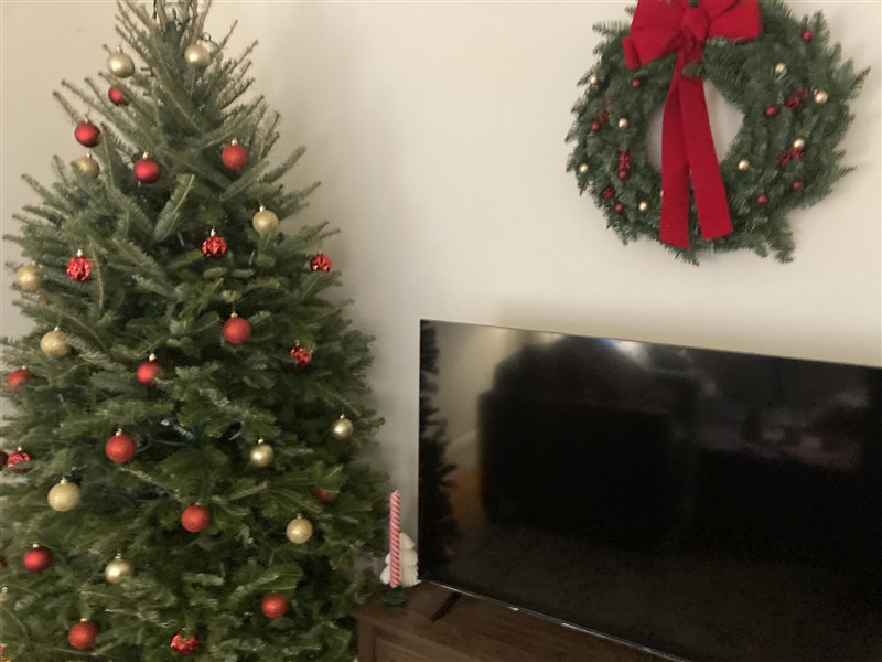 apartment picture