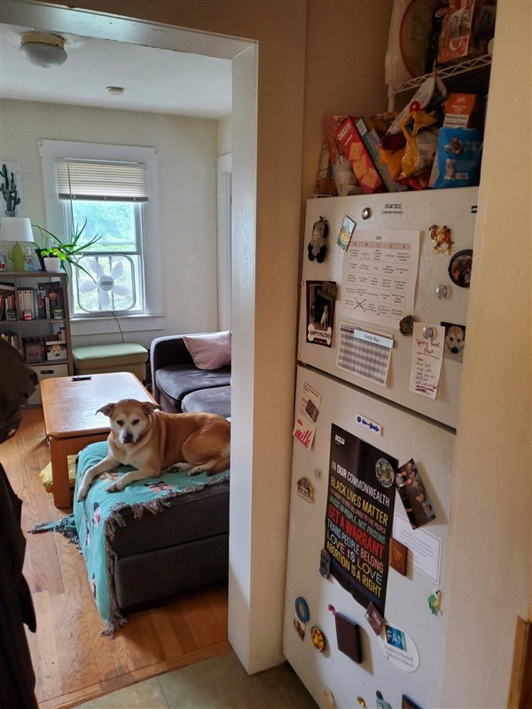 apartment picture