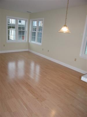 Apartment Picture