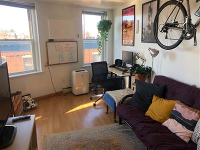 Apartment Picture