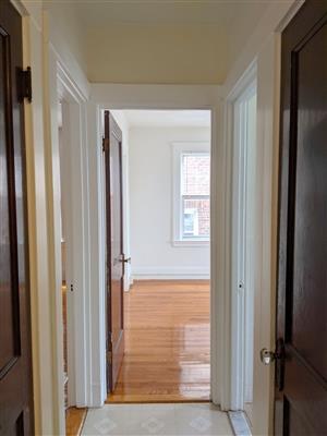 157 Summer St, Spring Hill