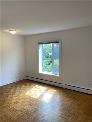 Apartment Picture