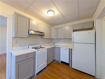 36 College Ave, Tufts