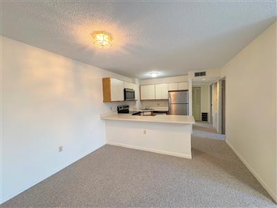 23 Elm St, Spring Hill