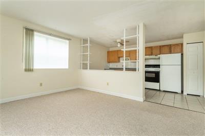 Apartment Picture