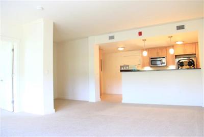 Apartment Picture