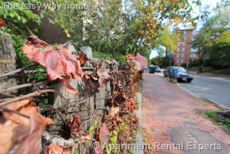 335A Harvard St, Harvard Square