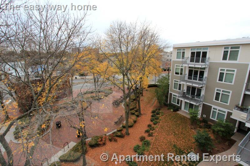 7 Cameron Ave, Davis Square