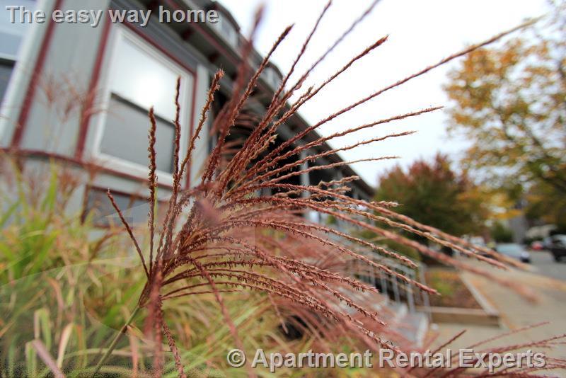 145 Highland Ave, Spring Hill