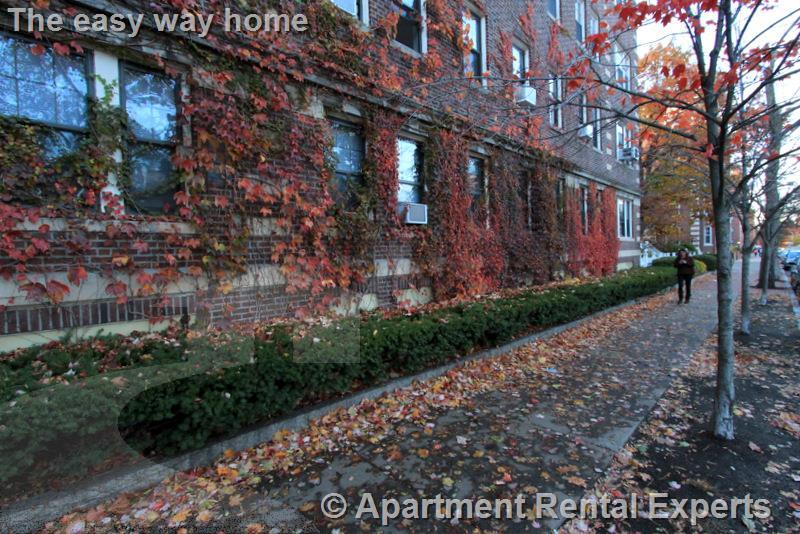 1558 Massachusetts Ave, Harvard Square