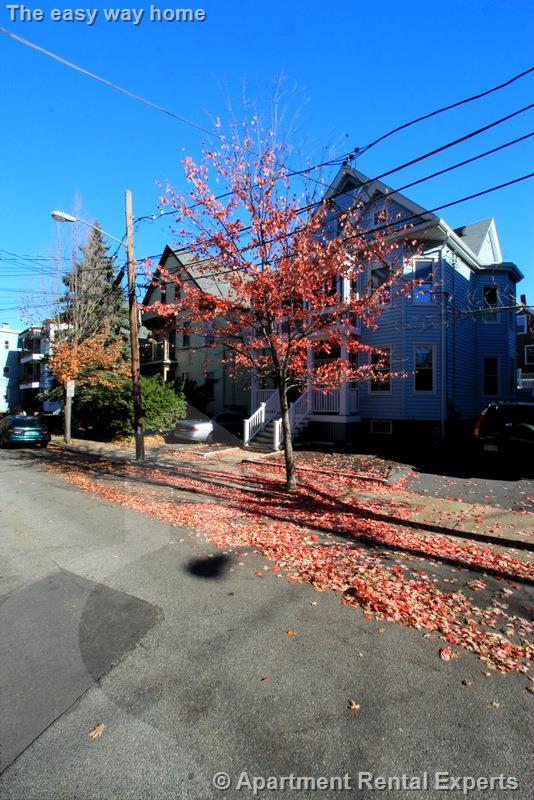 15 Lesley Ave, Davis Square