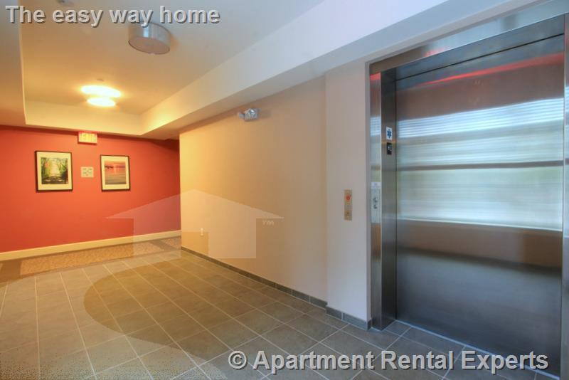 7 Cameron Ave, Davis Square