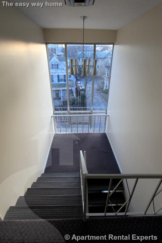 375 Harvard St, Harvard Square