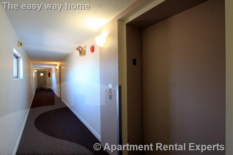 16 Elmer St, Riverside