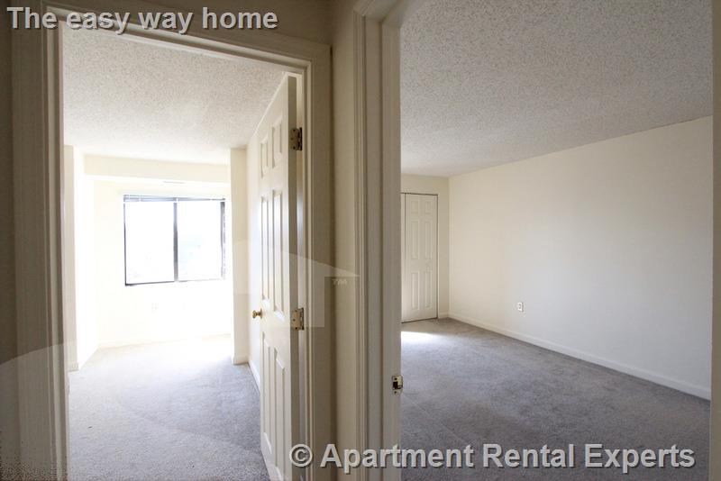 16 Elmer St, Riverside