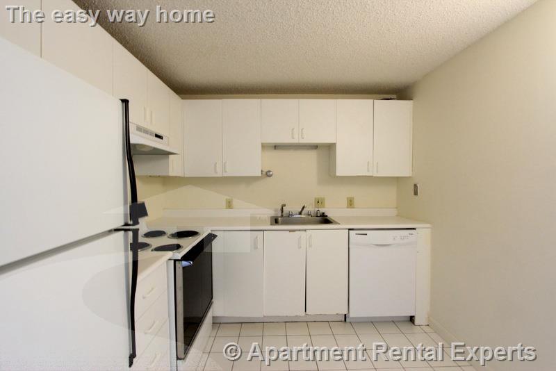 16 Elmer St, Riverside