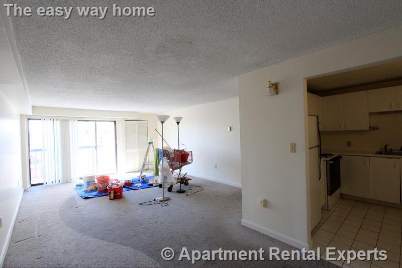 16 Elmer St, Riverside