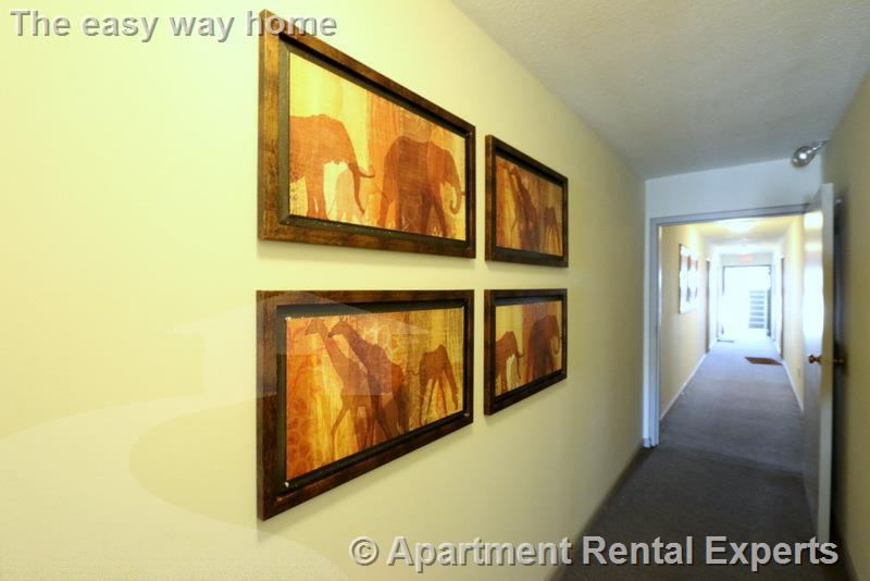 41 Belmont St, Porter Square