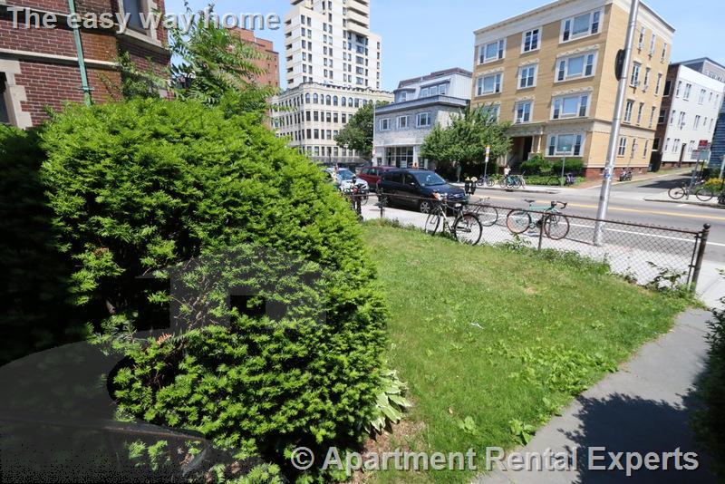 898 Massachusetts Ave, Central Square