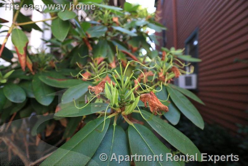 400 Franklin St, Central Square