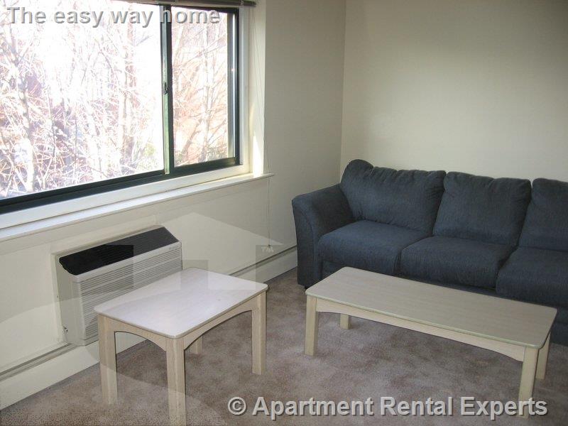 375 Harvard St, Harvard Square