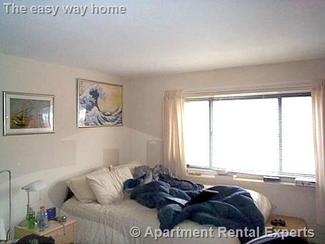 375 Harvard St, Harvard Square