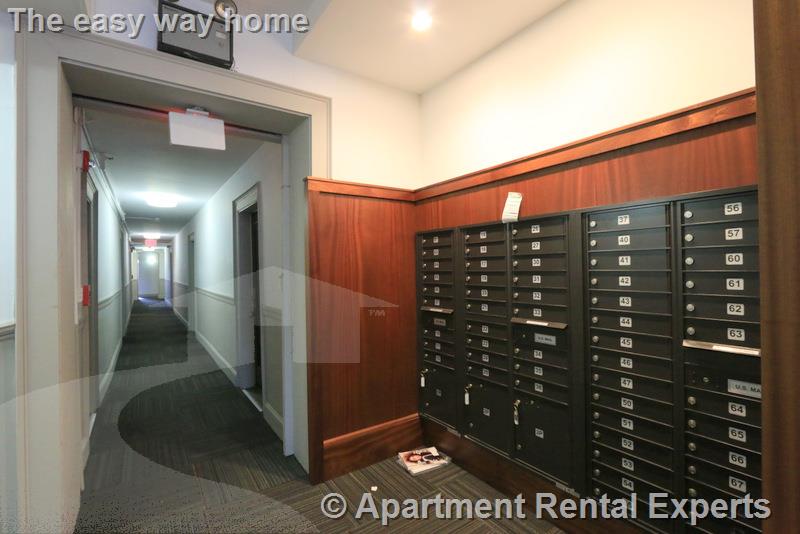 1010 Massachusetts Ave, Harvard Square