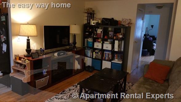 8 Avon St, Spring Hill