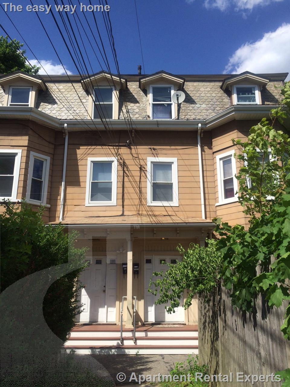 77 Bonair St, Winter Hill