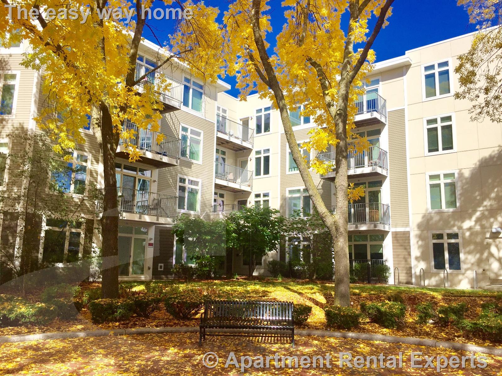 7 Cameron Ave, Davis Square