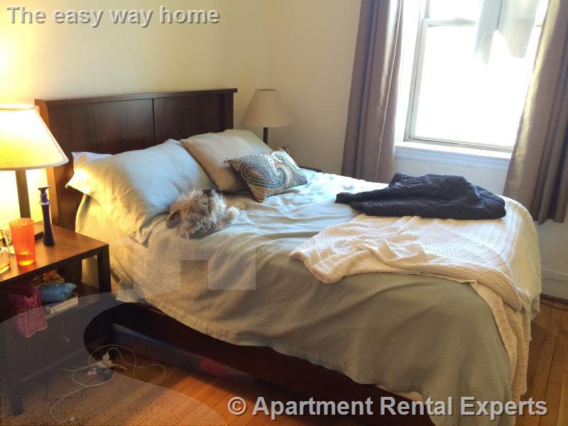 1616 Massachusetts Ave, Harvard Square