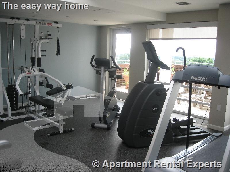 1008 Massachusetts Ave, Harvard Square