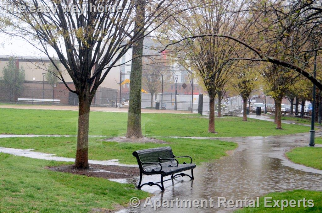 107 Winter St, East Cambridge