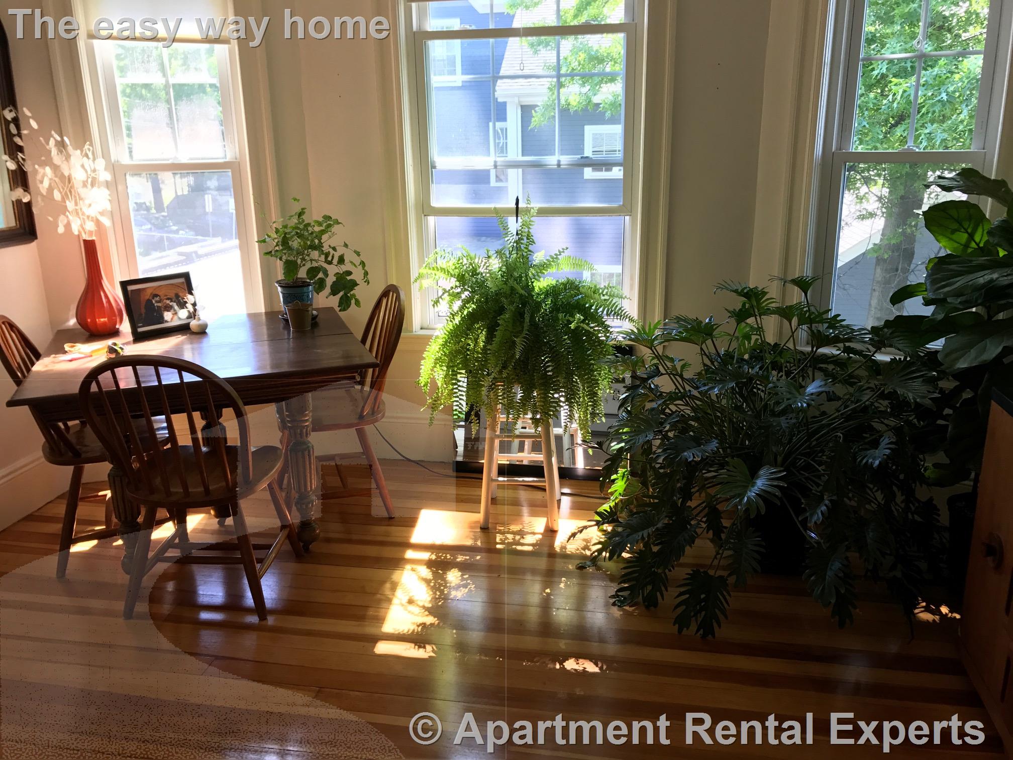 24 Elm Pl, Porter Square