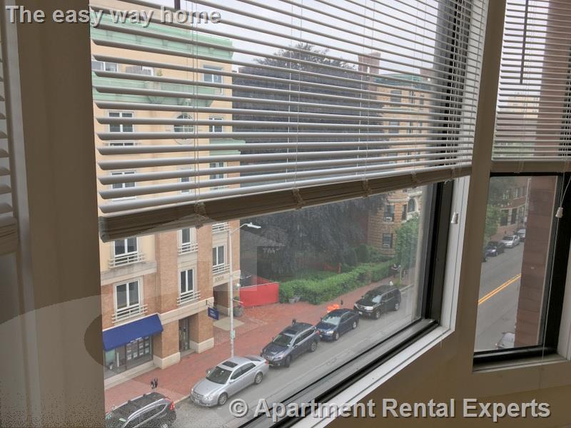 991 Massachusetts Ave, Harvard Square