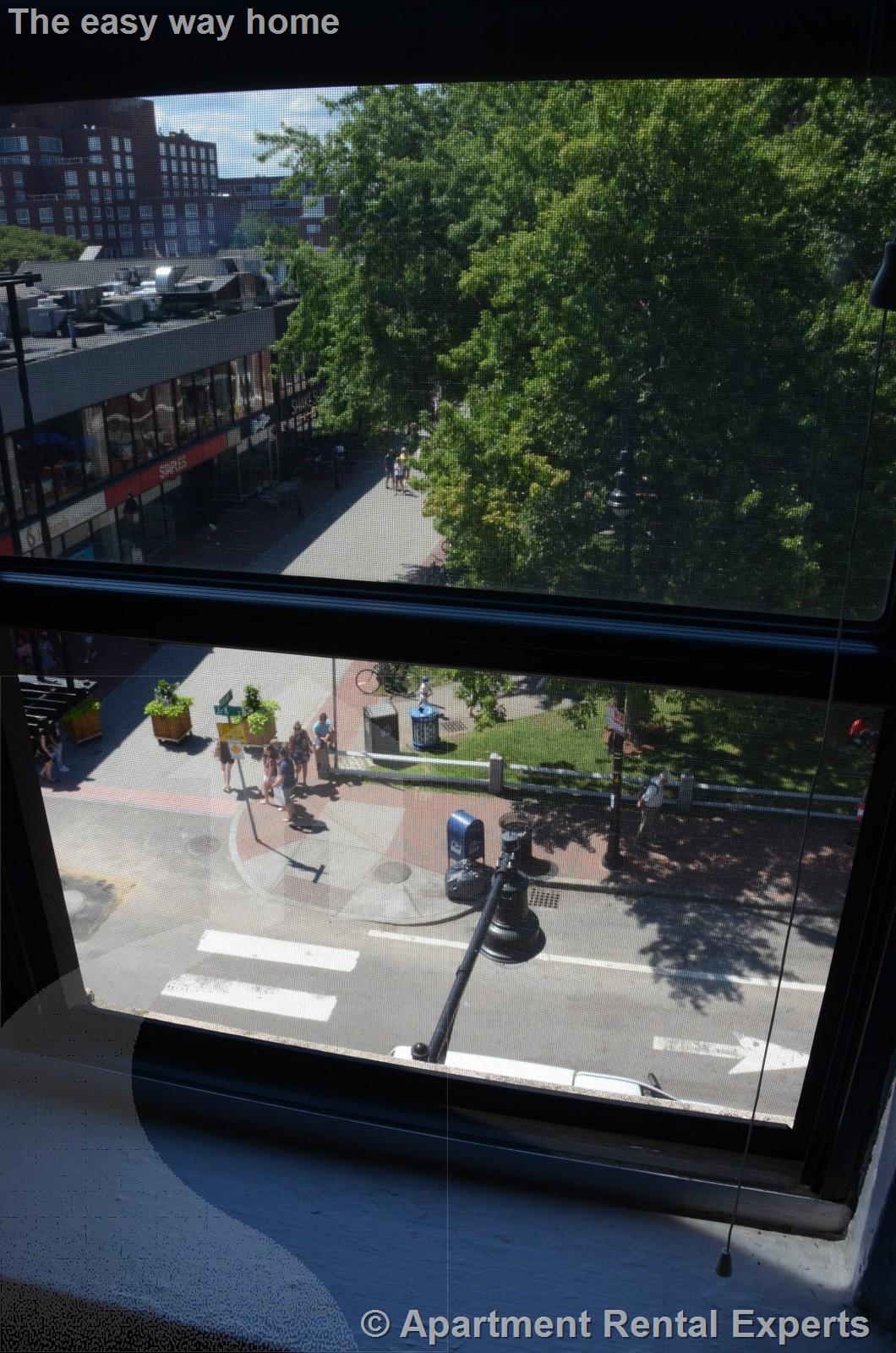 48 Jfk St, Harvard Square