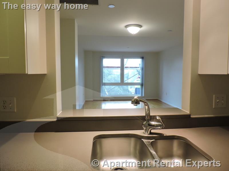 1008 Massachusetts Ave, Harvard Square