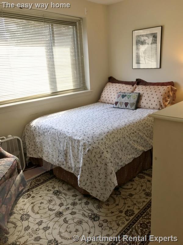 375 Harvard St, Harvard Square