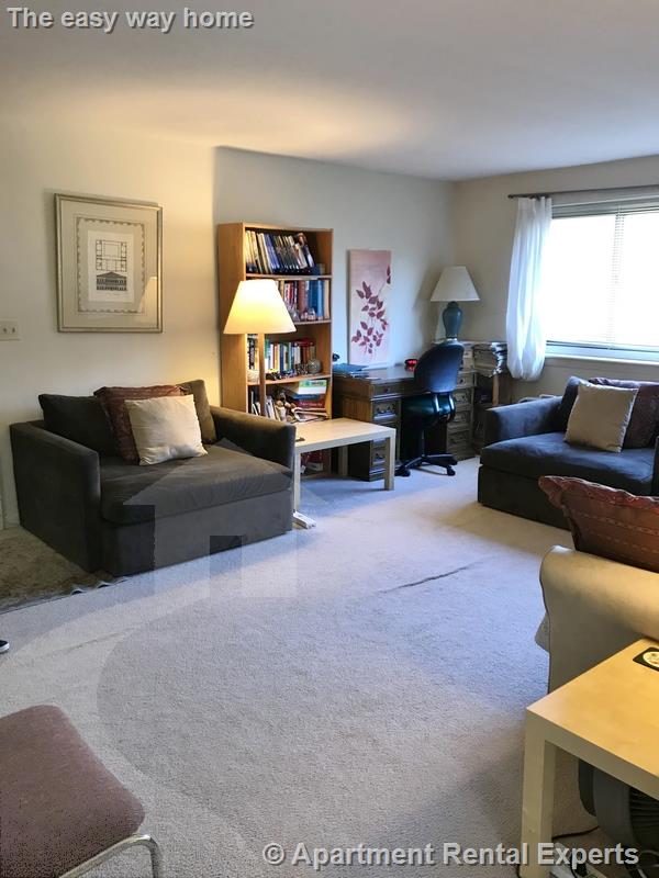 375 Harvard St, Harvard Square