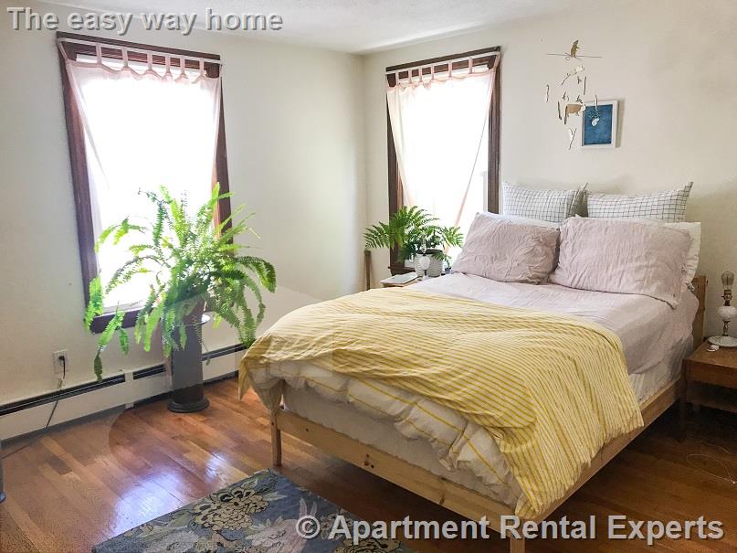 12 Cooney St, Inman Square