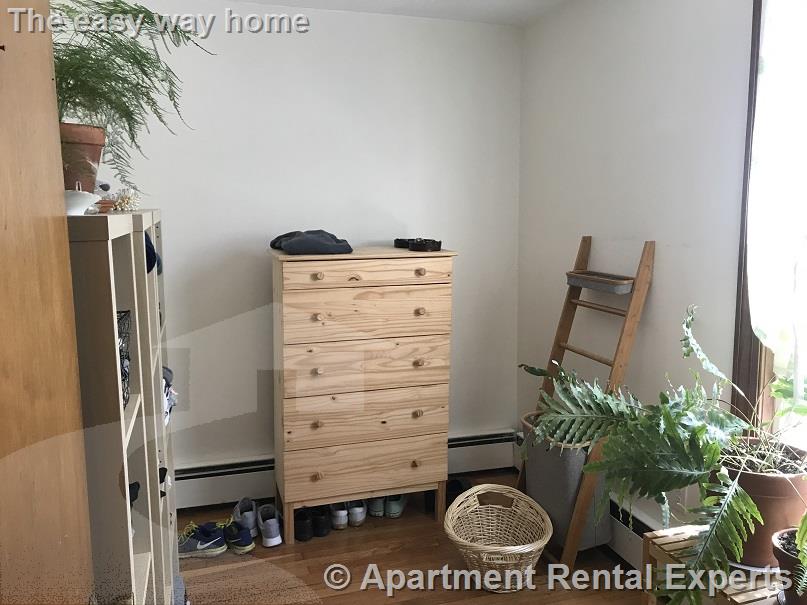 12 Cooney St, Inman Square