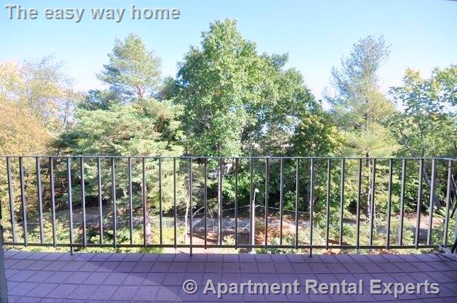 18 Hamilton Rd, Arlington Center