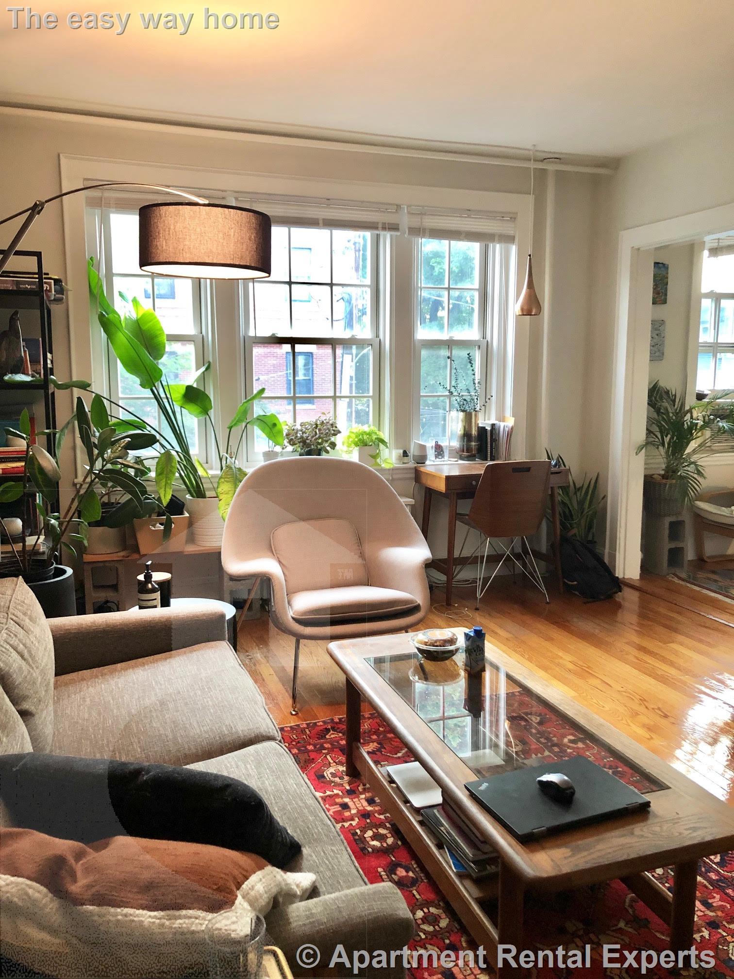 353 Harvard St, Harvard Square