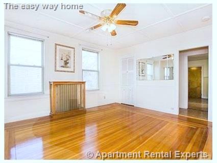 17 Cleveland St, Spring Hill