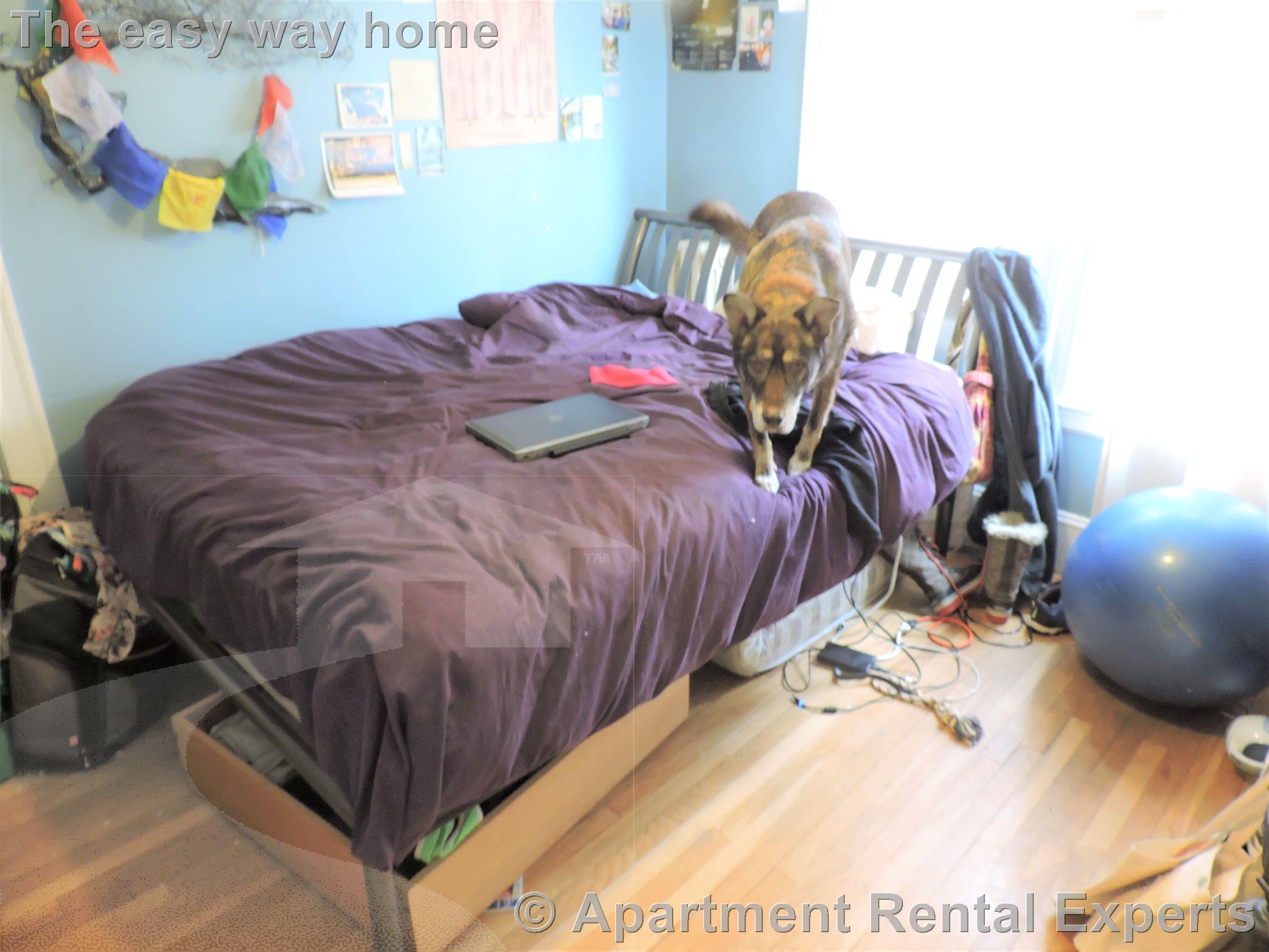 86 Henry, Cambridgeport