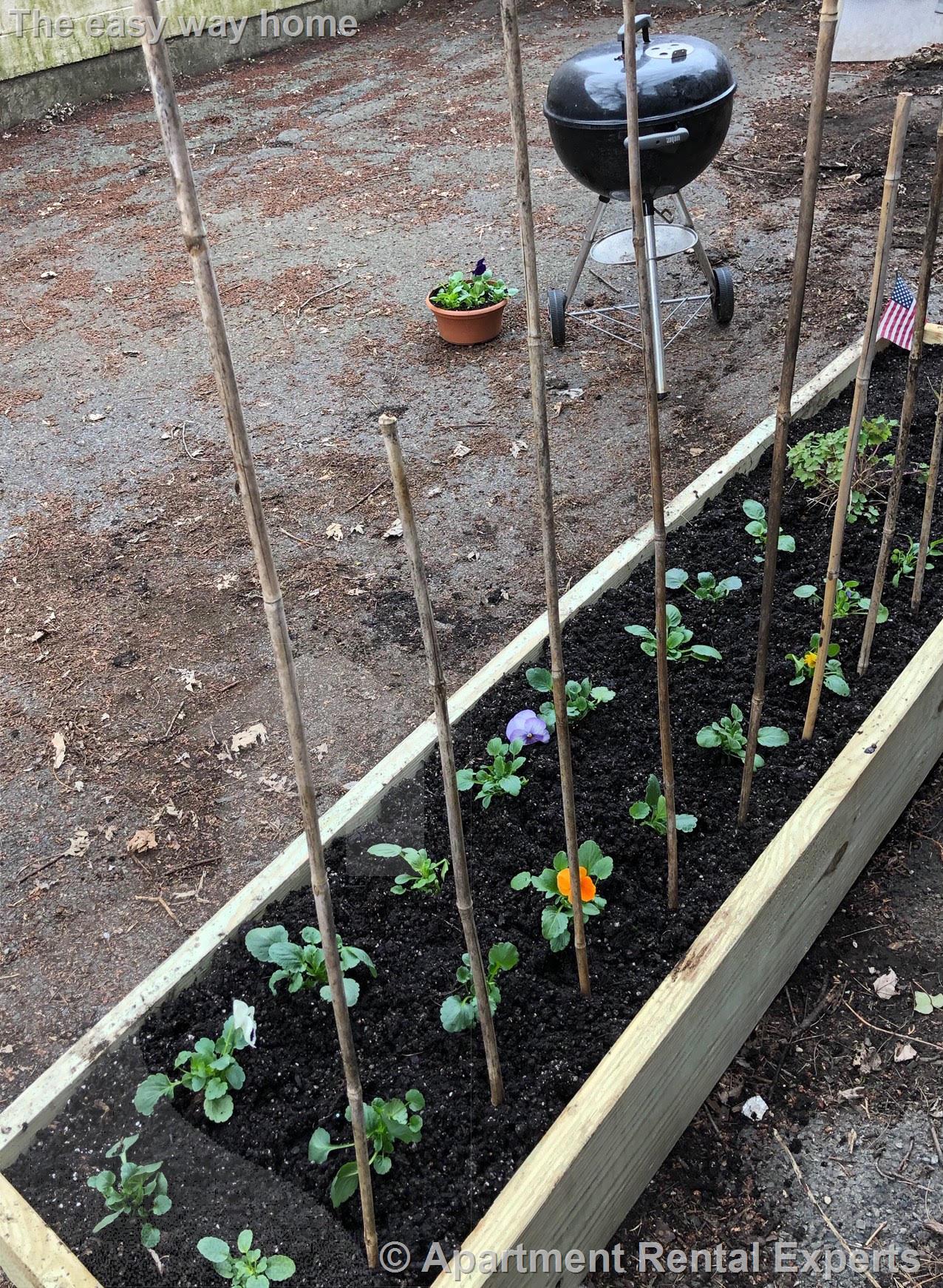 26 Dimick St, Inman Square